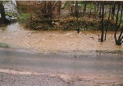Hochwasser Mrz 2002, Berthelsdorf
