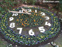 Blumenuhr