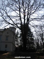 Gellert-Museum