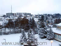 Wintermorgen 1 bearbeitet