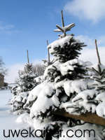 Schneereich: Winter 2006