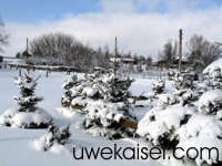 Schneereich: Winter 2006