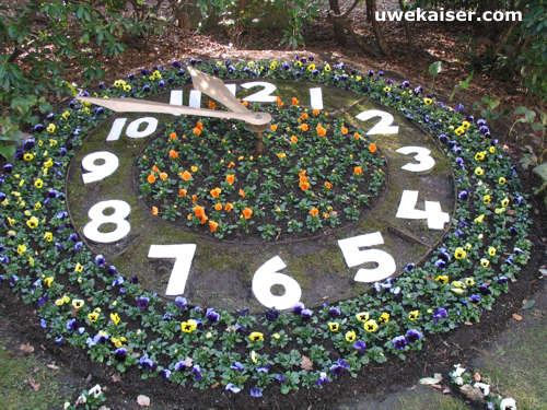 Blumenuhr